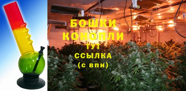 spice Снежногорск