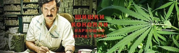spice Снежногорск