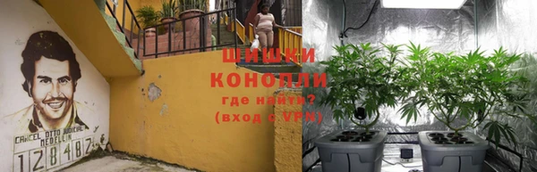 экстази Белокуриха